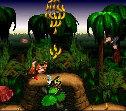 Imagem em destaque de Donkey Kong Country Hard Secrets (Extremu)