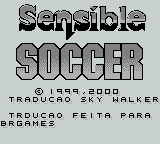 Imagem em destaque de Sensible Soccer (BR Games)