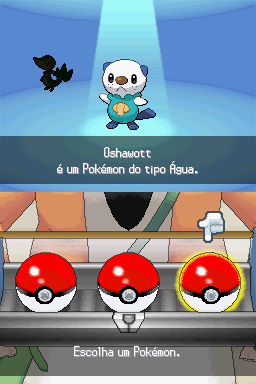 Pokémon White 2 Português PT-BR 