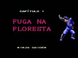 Imagem em destaque de Ninja Gaiden (versão final do jogo) (PO.B.R.E.)